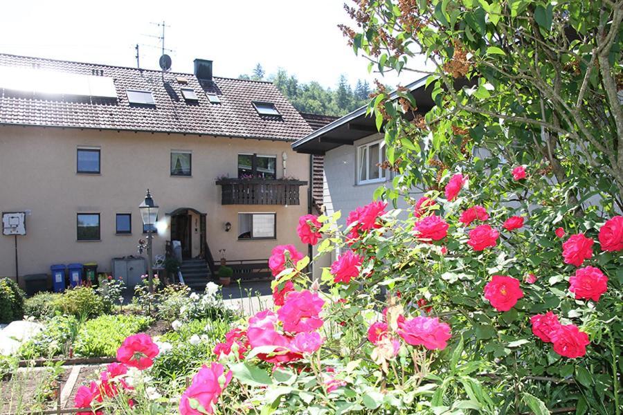 Apartment Baden Baden Haus Am Ibachweg المظهر الخارجي الصورة